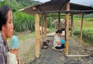 After the Fire: A Single Mother Cleans the Ruins and Builds a Temporary Hut to Survive