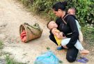 Select figs to sell – Rescue the baby who fainted on the side of the road