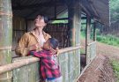 Single mother raising young child, building bamboo house nearing completion